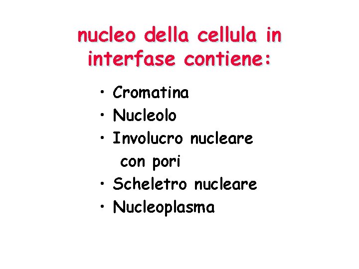 nucleo della cellula in interfase contiene: • Cromatina • Nucleolo • Involucro nucleare con