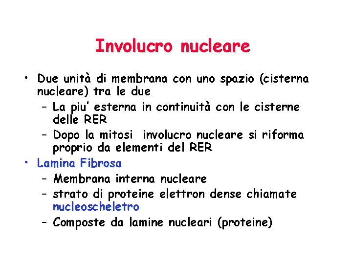 Involucro nucleare • Due unità di membrana con uno spazio (cisterna nucleare) tra le