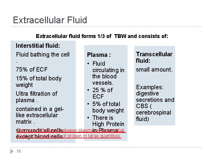 Extracellular Fluid Extracellular fluid forms 1/3 of TBW and consists of: Interstitial fluid: Fluid