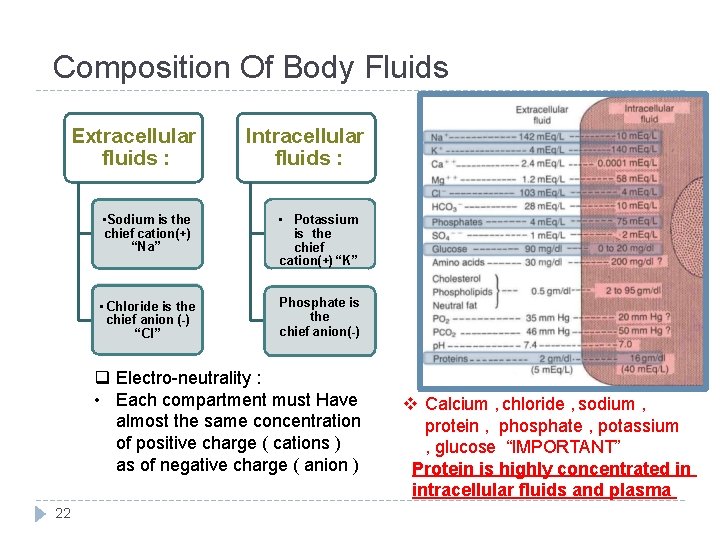  Composition Of Body Fluids Extracellular fluids : Intracellular fluids : • Sodium is