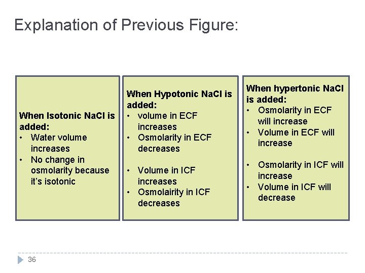 Explanation of Previous Figure: When Isotonic Na. Cl is added: • Water volume increases
