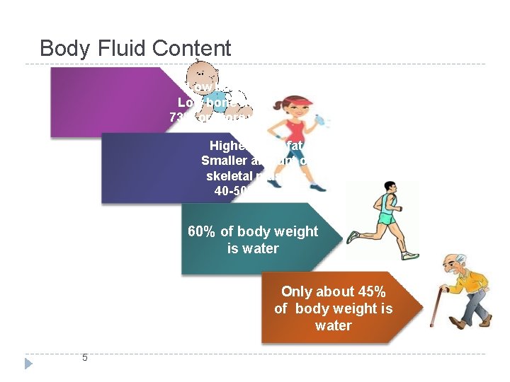 Body Fluid Content Low body fat Low bone mass 73% or more water Higher