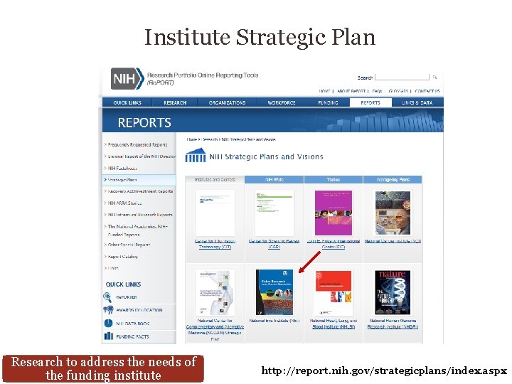 Institute Strategic Plan Research to address the needs of the funding institute http: //report.