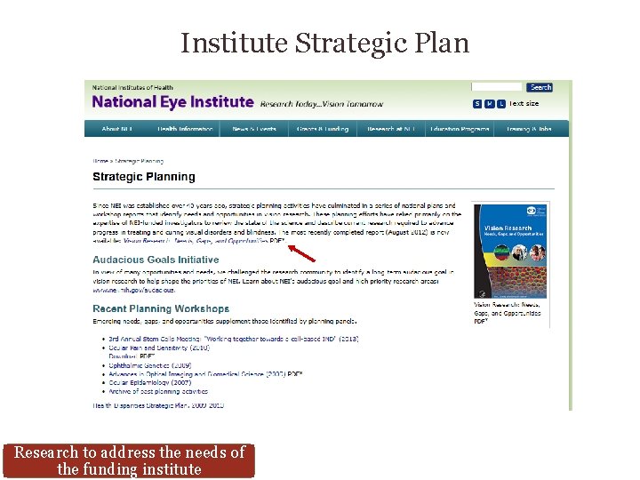 Institute Strategic Plan Research to address the needs of the funding institute 