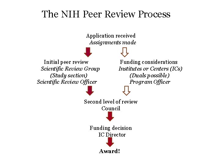 The NIH Peer Review Process Application received Assignments made Initial peer review Funding considerations