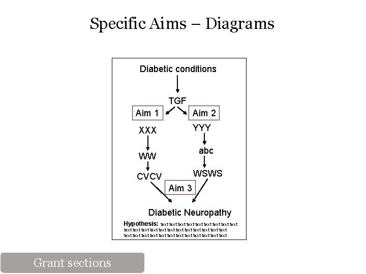 Specific Aims – Diagrams Diabetic conditions TGF Aim 1 Aim 2 XXX YYY abc