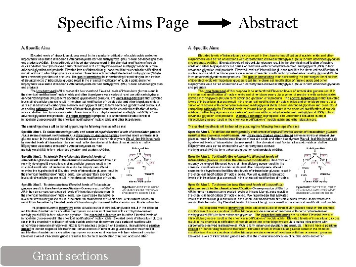 Specific Aims Page Abstract Grant sections 