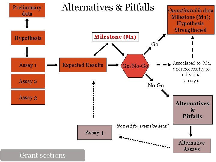 Preliminary data Alternatives & Pitfalls Quantitatable data Milestone (M 1); Hypothesis Strengthened Milestone (M