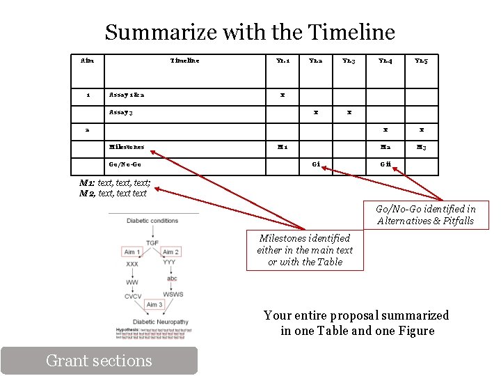 Summarize with the Timeline Aim 1 Timeline Assay 1 & 2 Yr. 1 Yr.