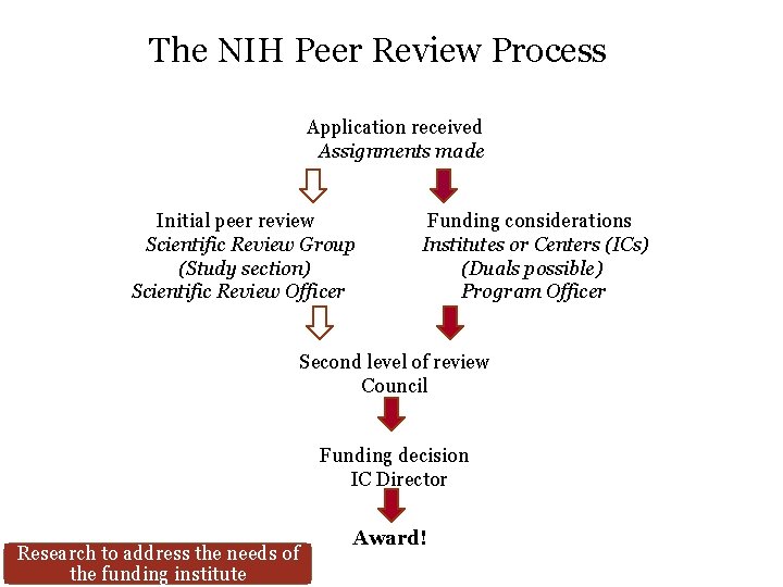 The NIH Peer Review Process Application received Assignments made Initial peer review Funding considerations