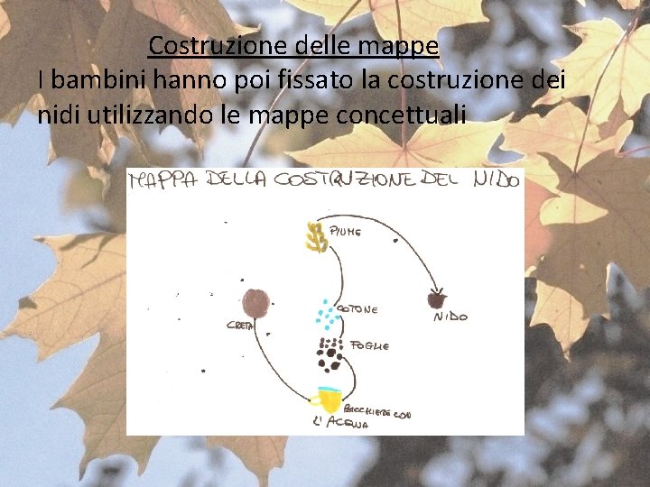 Costruzione delle mappe I bambini hanno poi fissato la costruzione dei nidi utilizzando Costruzione delle mappe I bambini hanno poi fissato la costruzione dei nidi utilizzando