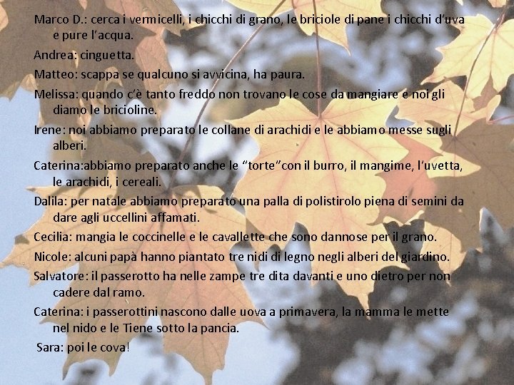 Marco D. : cerca i vermicelli, i chicchi di grano, le briciole di pane Marco D. : cerca i vermicelli, i chicchi di grano, le briciole di pane