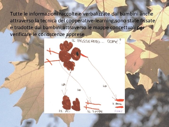 Tutte le informazioni raccolte e verbalizzate dai bambini anche attraverso la tecnica del cooperative-learning, Tutte le informazioni raccolte e verbalizzate dai bambini anche attraverso la tecnica del cooperative-learning,