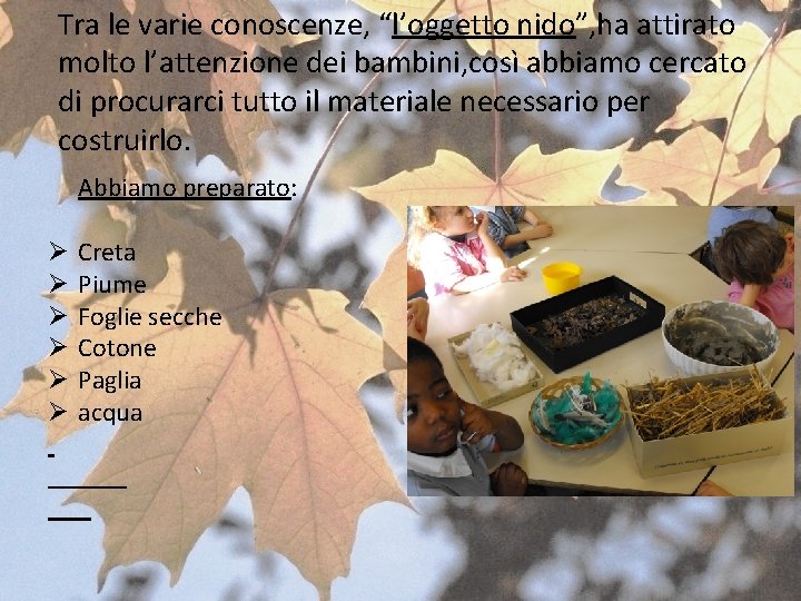 Tra le varie conoscenze, “l’oggetto nido”, ha attirato molto l’attenzione dei bambini, così abbiamo Tra le varie conoscenze, “l’oggetto nido”, ha attirato molto l’attenzione dei bambini, così abbiamo