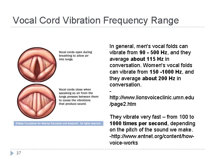 Vocal Cord Vibration Frequency Range In general, men's vocal folds can vibrate from 90