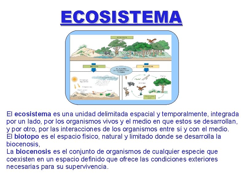 ECOSISTEMA El ecosistema es una unidad delimitada espacial y temporalmente, integrada por un lado,