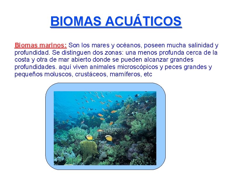 BIOMAS ACUÁTICOS Biomas marinos: Son los mares y océanos, poseen mucha salinidad y profundidad.