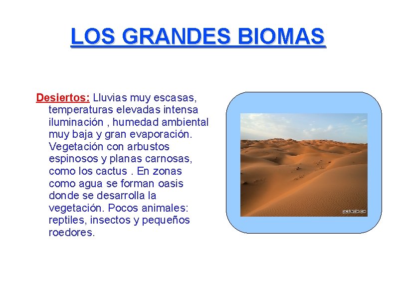 LOS GRANDES BIOMAS Desiertos: Lluvias muy escasas, temperaturas elevadas intensa iluminación , humedad ambiental