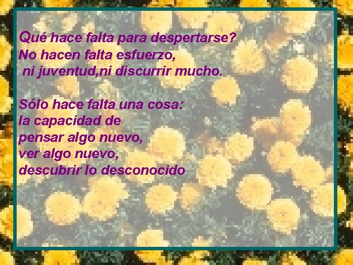 Qué hace falta para despertarse? No hacen falta esfuerzo, ni juventud, ni discurrir mucho.