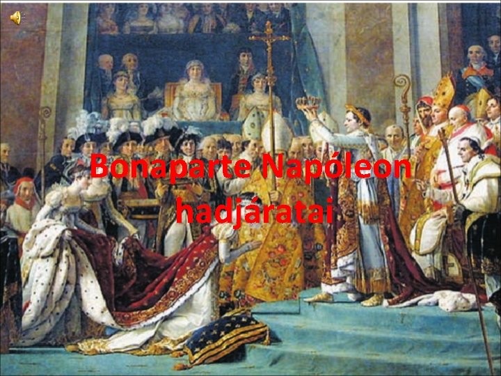 Bonaparte Napóleon hadjáratai 