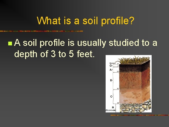 What is a soil profile? n. A soil profile is usually studied to a