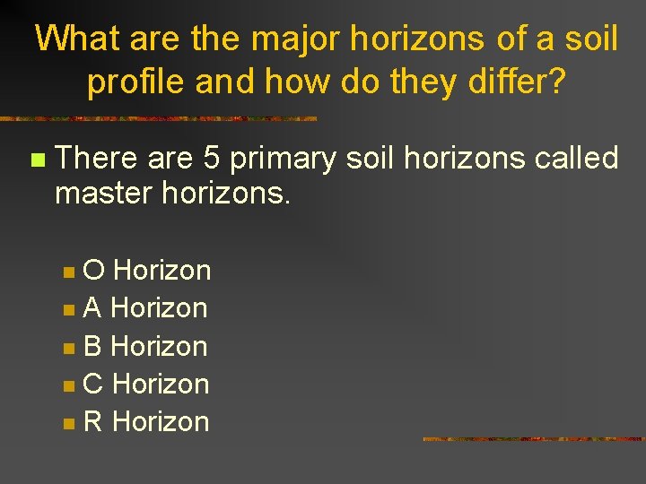 What are the major horizons of a soil profile and how do they differ?