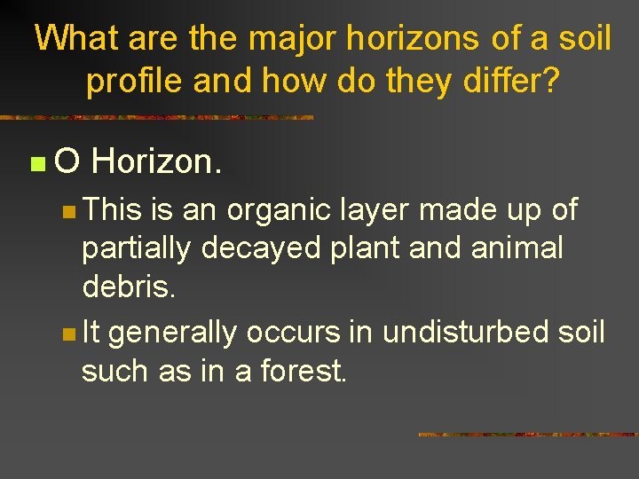 What are the major horizons of a soil profile and how do they differ?