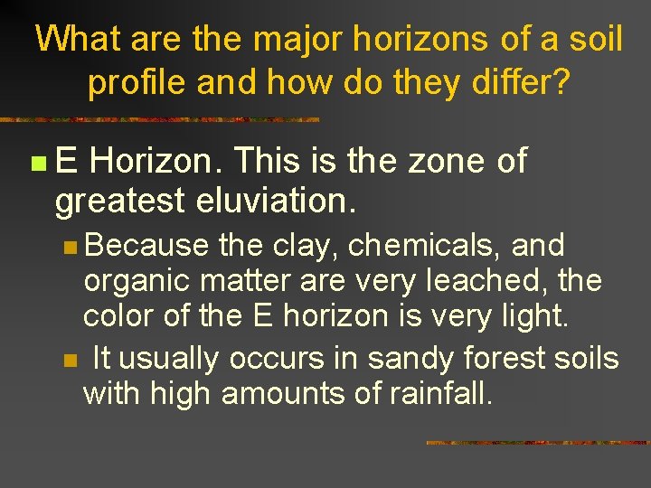 What are the major horizons of a soil profile and how do they differ?