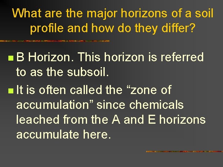 What are the major horizons of a soil profile and how do they differ?