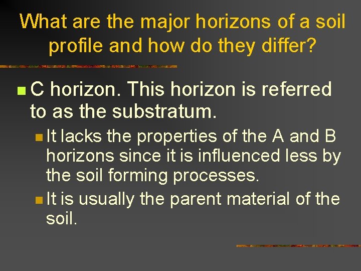 What are the major horizons of a soil profile and how do they differ?