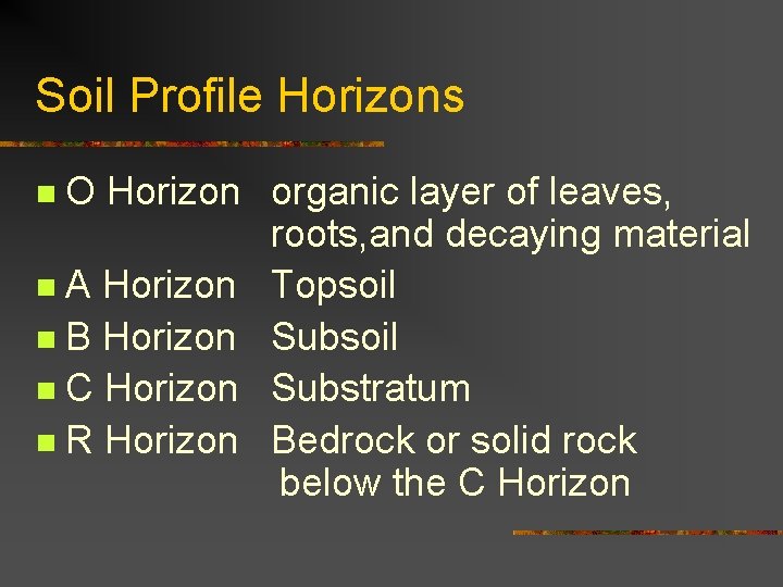 Soil Profile Horizons O Horizon organic layer of leaves, roots, and decaying material n