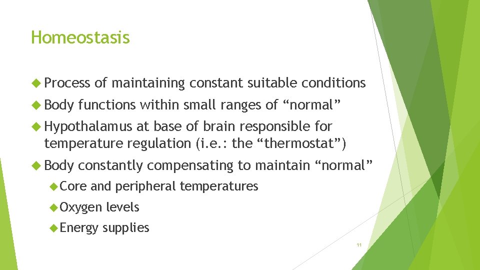 Homeostasis Process Body of maintaining constant suitable conditions functions within small ranges of “normal”
