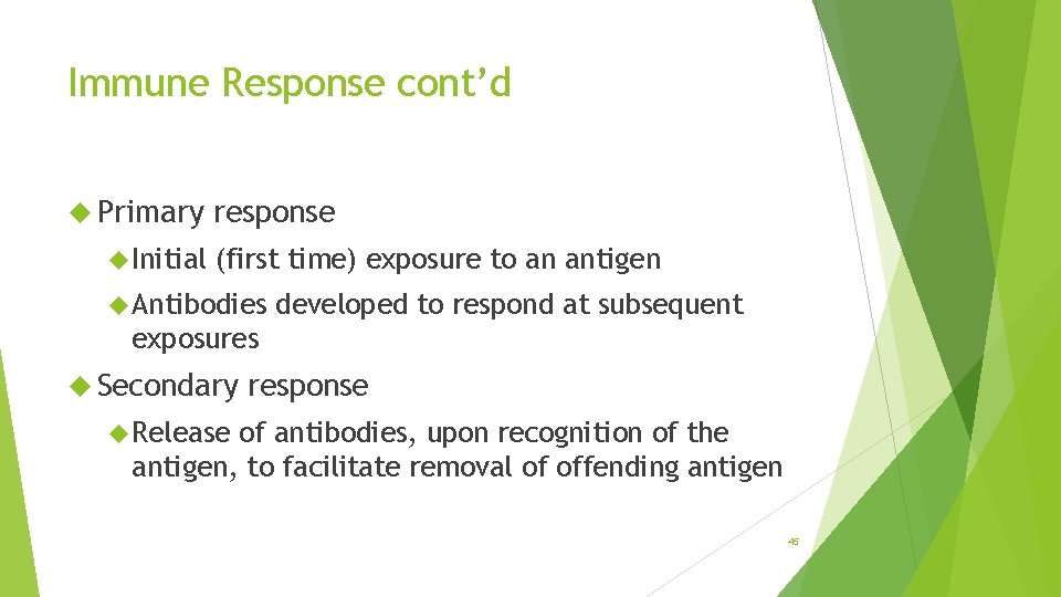 Immune Response cont’d Primary Initial response (first time) exposure to an antigen Antibodies developed