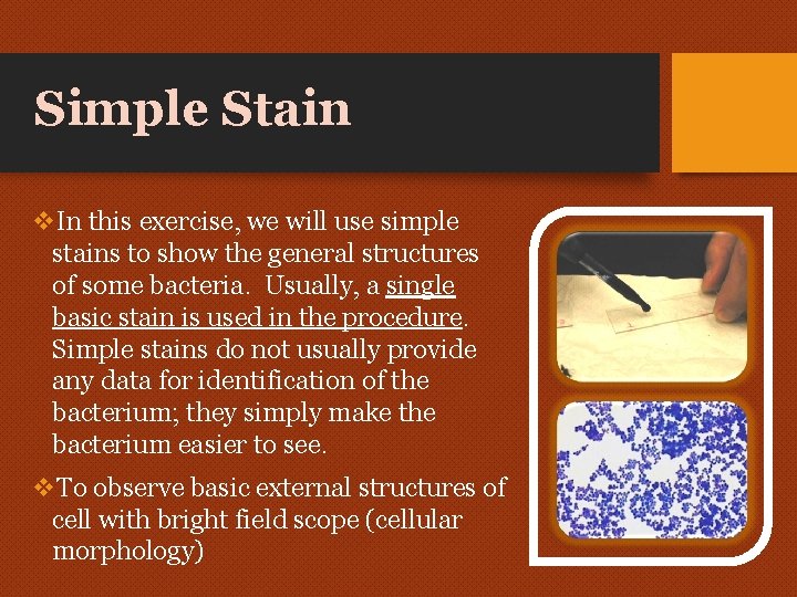 Simple Stain v. In this exercise, we will use simple stains to show the Simple Stain v. In this exercise, we will use simple stains to show the