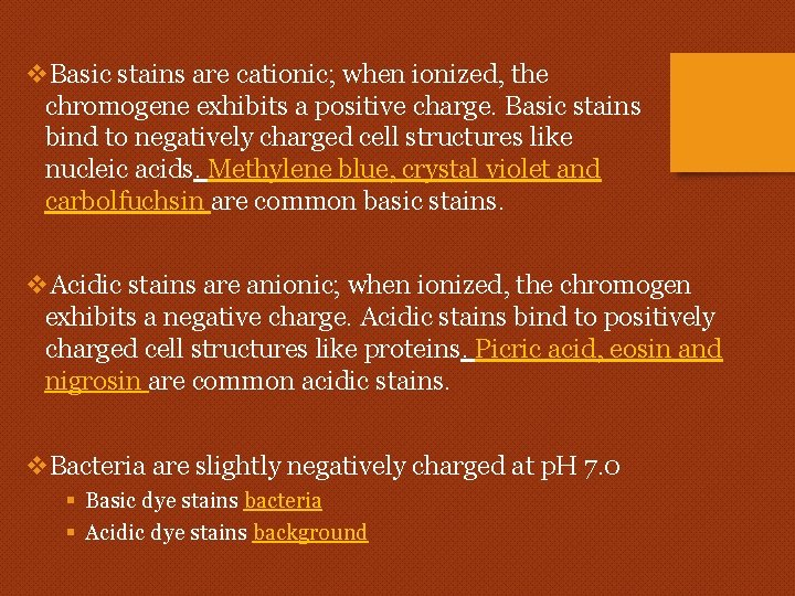 v. Basic stains are cationic; when ionized, the chromogene exhibits a positive charge. Basic v. Basic stains are cationic; when ionized, the chromogene exhibits a positive charge. Basic