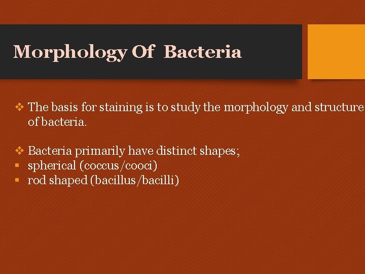 Morphology Of Bacteria v The basis for staining is to study the morphology and Morphology Of Bacteria v The basis for staining is to study the morphology and