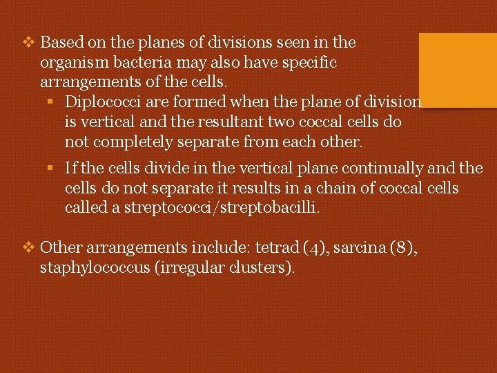 v Based on the planes of divisions seen in the organism bacteria may also v Based on the planes of divisions seen in the organism bacteria may also