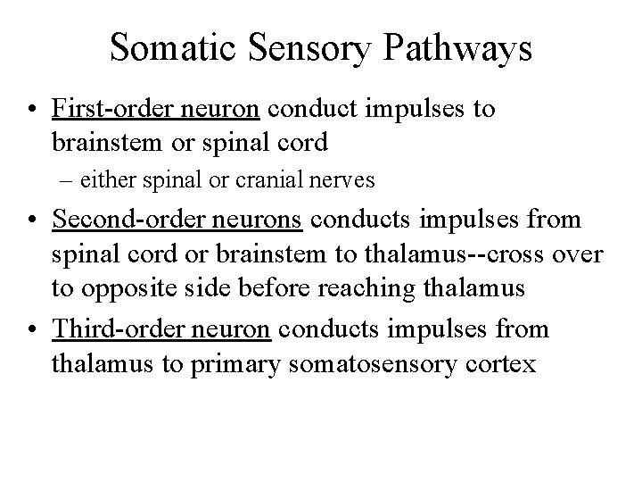 Somatic Sensory Pathways • First-order neuron conduct impulses to brainstem or spinal cord –