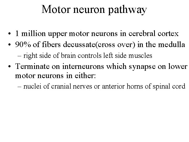Motor neuron pathway • 1 million upper motor neurons in cerebral cortex • 90%