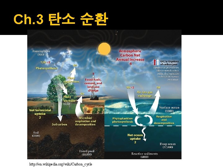 Ch. 3 탄소 순환 http: //en. wikipedia. org/wiki/Carbon_cycle 