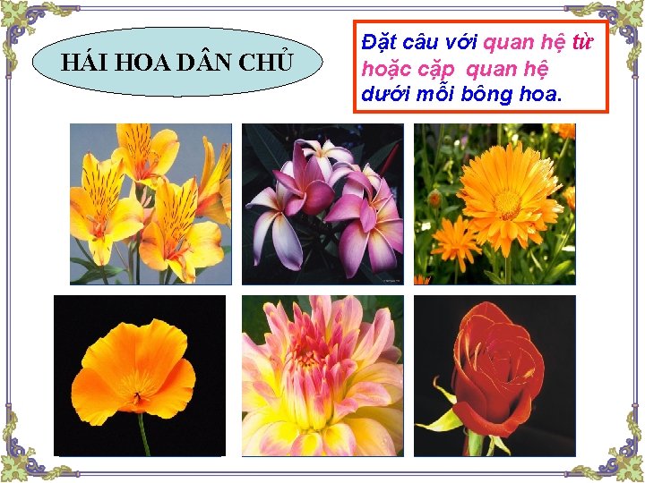 HÁI HOA D N CHỦ Đặt câu với quan hệ từ hoặc cặp quan HÁI HOA D N CHỦ Đặt câu với quan hệ từ hoặc cặp quan
