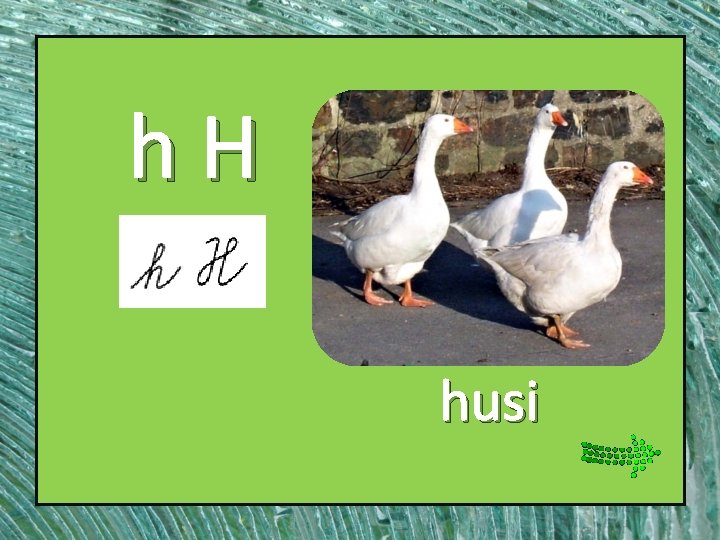 h. H husi 