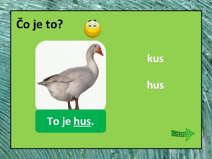 Čo je to? kus hus To hus je hus. 