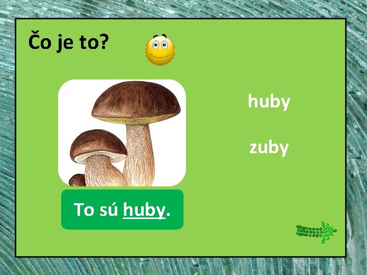 Čo je to? huby zuby huby To sú huby. 