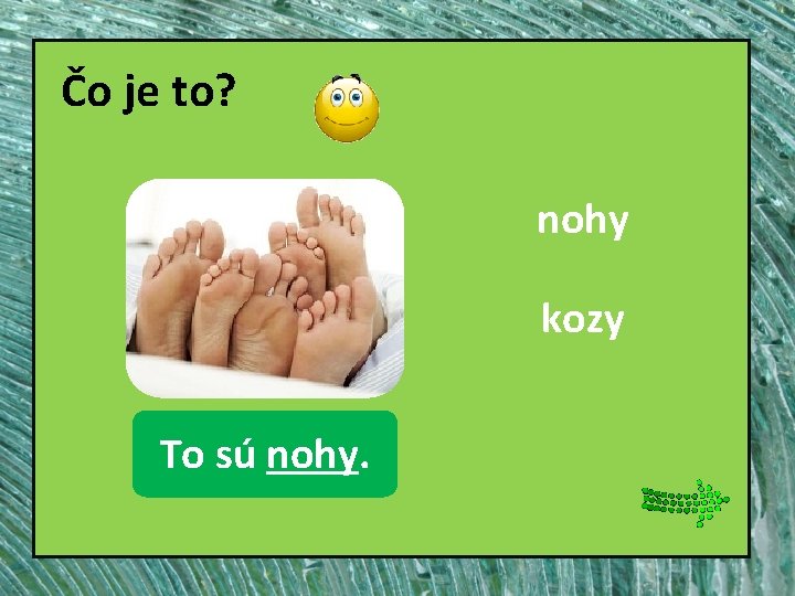 Čo je to? nohy kozy nohy To sú nohy. 