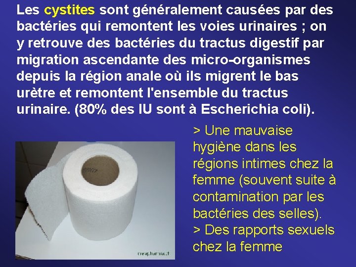 Les cystites sont généralement causées par des bactéries qui remontent les voies urinaires ;