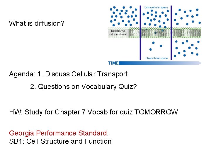 What is diffusion? Agenda: 1. Discuss Cellular Transport 2. Questions on Vocabulary Quiz? HW: