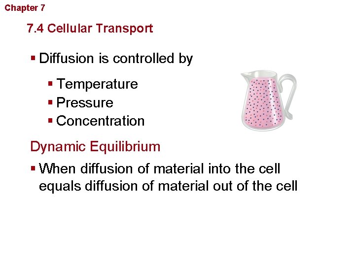 Chapter 7 Cellular Structure and Function 7. 4 Cellular Transport § Diffusion is controlled