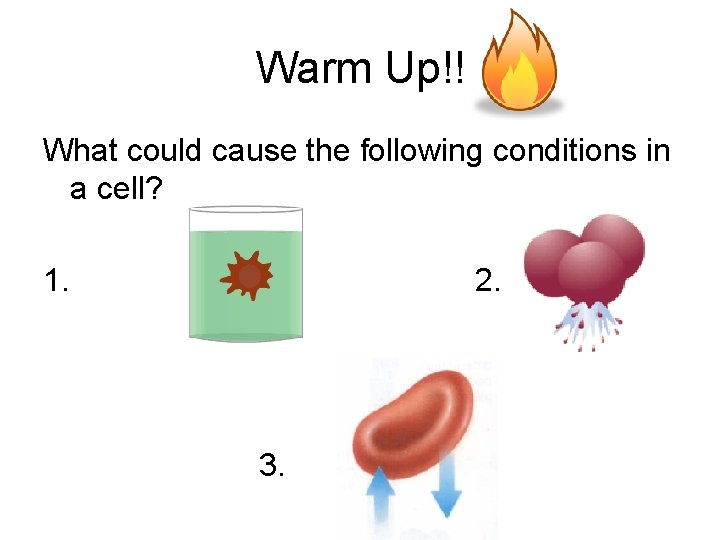 Warm Up!! What could cause the following conditions in a cell? 1. 2. 3.