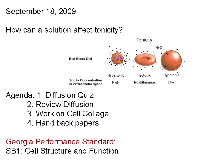 September 18, 2009 How can a solution affect tonicity? Agenda: 1. Diffusion Quiz 2.